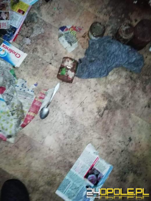 W gminie Lubsza umierają koty. Drastyczny widok zastały wolontariuszki TOZ-u