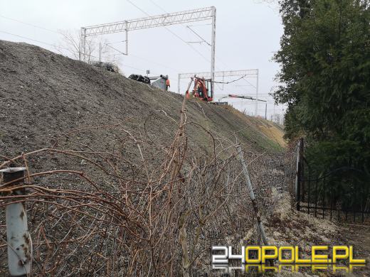 Ekolodzy i mieszkańcy nie chcą trasy średnicowej? Padają argumenty