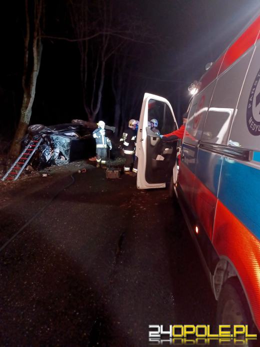 Samochód zderzył się z dzikiem. Trzy osoby zostały poszkodowane