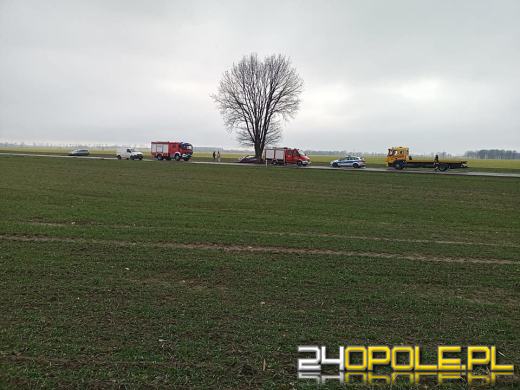 Samochód uderzył w drzewo na trasie Stradunia-Żużela