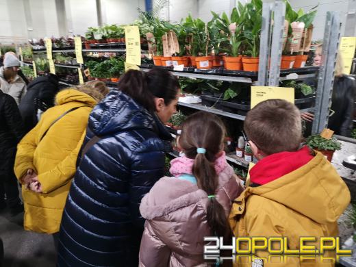 Trwa Festiwal Roślin. Toyota Park przeżywa prawdziwe zakupowe oblężenie 