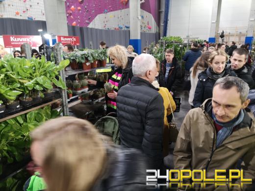 Trwa Festiwal Roślin. Toyota Park przeżywa prawdziwe zakupowe oblężenie 