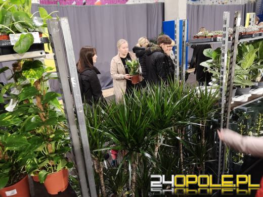 Trwa Festiwal Roślin. Toyota Park przeżywa prawdziwe zakupowe oblężenie 