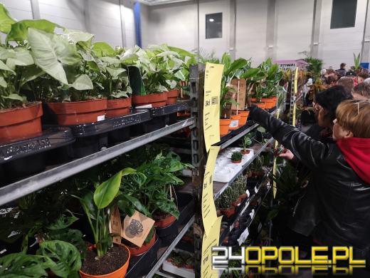 Trwa Festiwal Roślin. Toyota Park przeżywa prawdziwe zakupowe oblężenie 