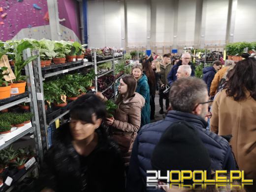 Trwa Festiwal Roślin. Toyota Park przeżywa prawdziwe zakupowe oblężenie 