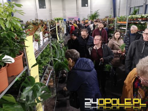 Trwa Festiwal Roślin. Toyota Park przeżywa prawdziwe zakupowe oblężenie 