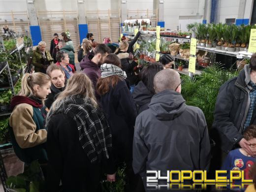 Trwa Festiwal Roślin. Toyota Park przeżywa prawdziwe zakupowe oblężenie 