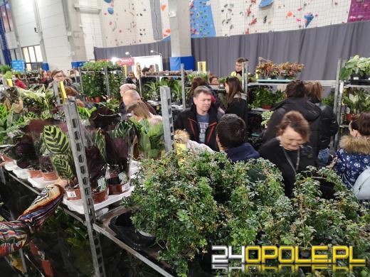 Trwa Festiwal Roślin. Toyota Park przeżywa prawdziwe zakupowe oblężenie 