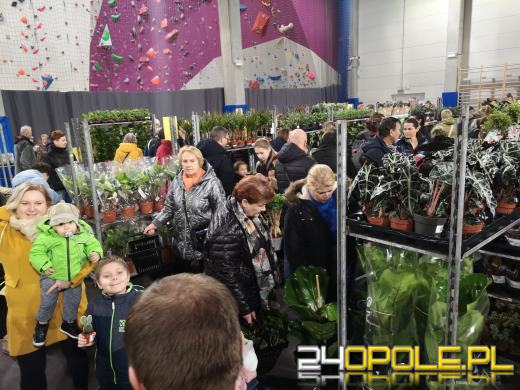 Trwa Festiwal Roślin. Toyota Park przeżywa prawdziwe zakupowe oblężenie 