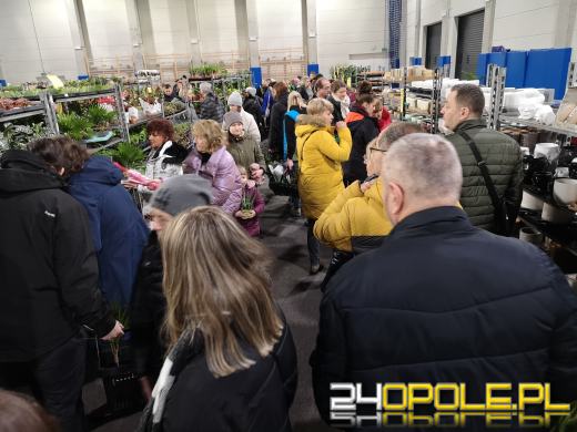 Trwa Festiwal Roślin. Toyota Park przeżywa prawdziwe zakupowe oblężenie 