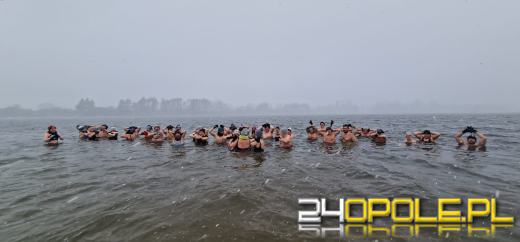 Konsekwencja i regularność to ich mocne strony. Morsy znów w wodzie