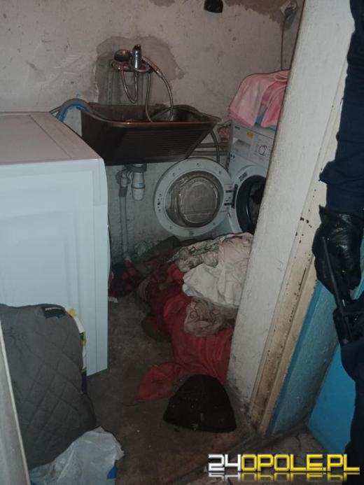 Trudna interwencja w hodowli FCI jamników. Tragiczne warunki psów