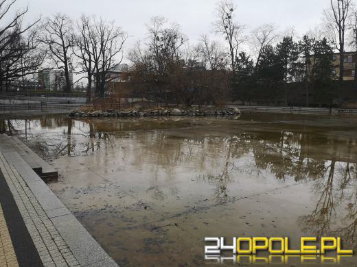 Odliczamy do remontu Stawu Zamkowego. Fontanna będzie jeszcze bardziej multimedialna