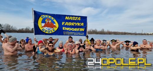 W powietrzu już wiosna. Morsy kończą sezon