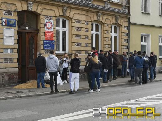 Rolnicy wysypali zboże pod biurem poselskim Katarzyny Czochary. Trwają protesty