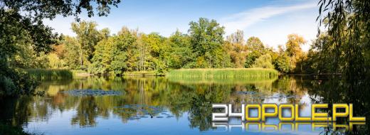Wyspa Bolko w Opolu - zielony zakątek w sercu miasta