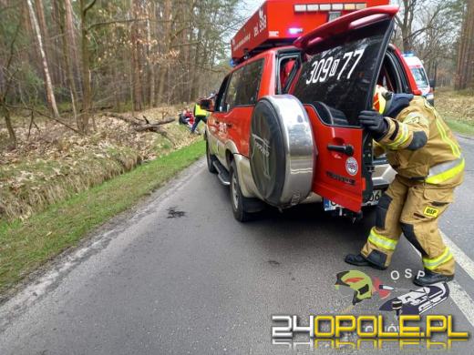 Całkowicie zablokowana DW463 w Dylakach. Zderzyły się dwie osobówki