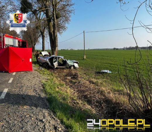 Niebezpieczne święta na drogach. Policja podsumowała działania