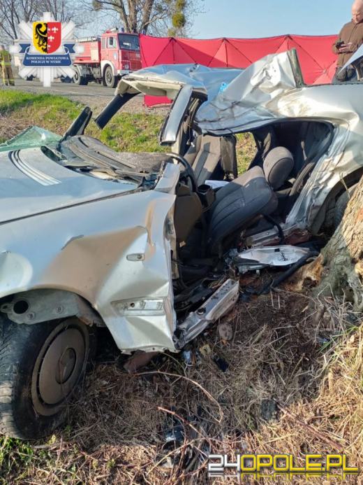 Niebezpieczne święta na drogach. Policja podsumowała działania