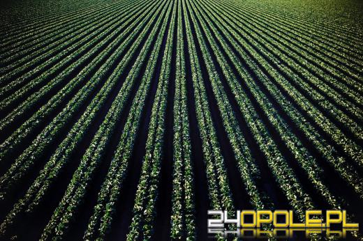 Jak dobrać odpowiednią dyszę do opryskiwacza?