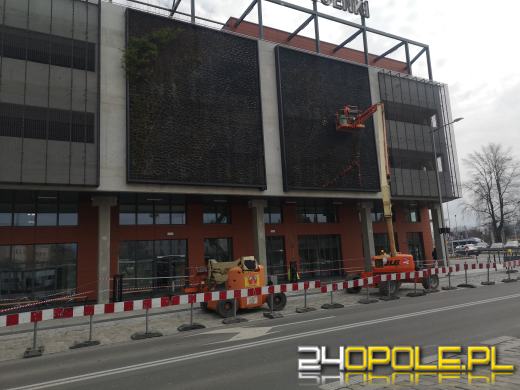 Ściany Centrum Przesiadkowego Opole Główne znów się zazielenią