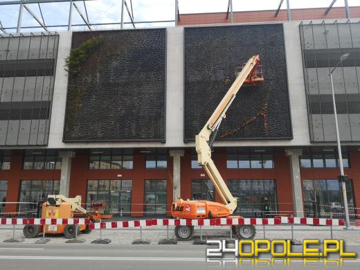 Ściany Centrum Przesiadkowego Opole Główne znów się zazielenią