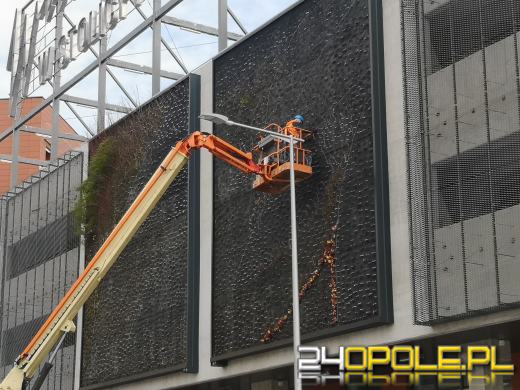 Ściany Centrum Przesiadkowego Opole Główne znów się zazielenią