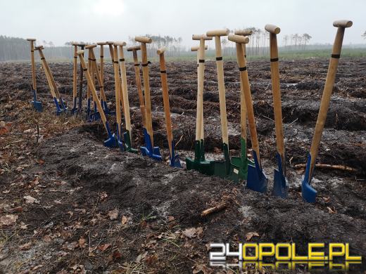 Młodzież posadzi kilka tysięcy drzew. Trwa akcja "Lasy Pełne Energii"