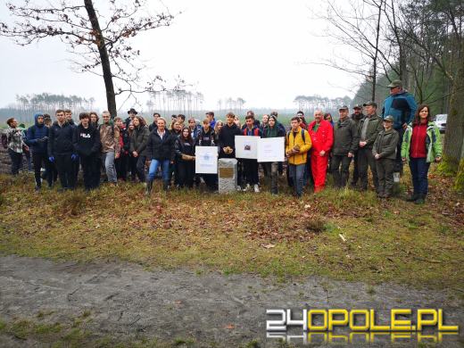 Młodzież posadzi kilka tysięcy drzew. Trwa akcja "Lasy Pełne Energii"