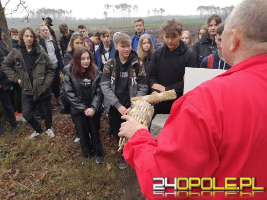 Młodzież posadzi kilka tysięcy drzew. Trwa akcja "Lasy Pełne Energii"