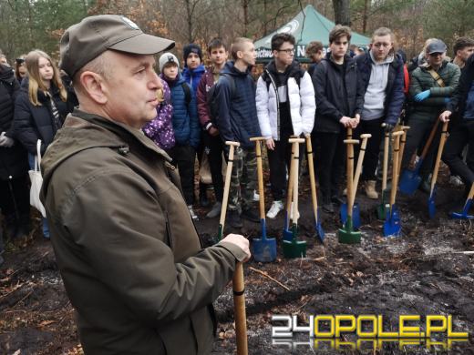 Młodzież posadzi kilka tysięcy drzew. Trwa akcja "Lasy Pełne Energii"