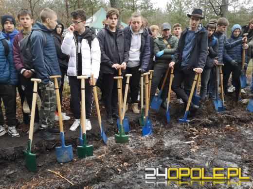 Młodzież posadzi kilka tysięcy drzew. Trwa akcja "Lasy Pełne Energii"