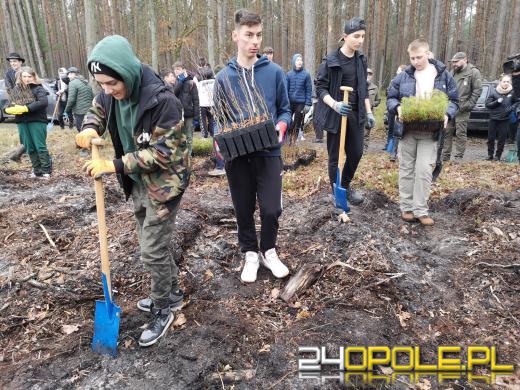 Młodzież posadzi kilka tysięcy drzew. Trwa akcja "Lasy Pełne Energii"