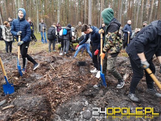 Młodzież posadzi kilka tysięcy drzew. Trwa akcja "Lasy Pełne Energii"