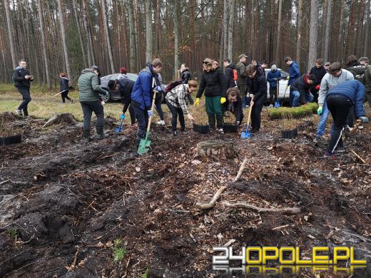 Młodzież posadzi kilka tysięcy drzew. Trwa akcja "Lasy Pełne Energii"