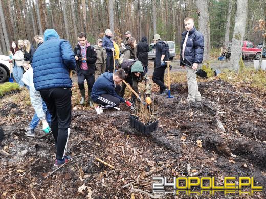 Młodzież posadzi kilka tysięcy drzew. Trwa akcja "Lasy Pełne Energii"