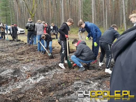 Młodzież posadzi kilka tysięcy drzew. Trwa akcja "Lasy Pełne Energii"
