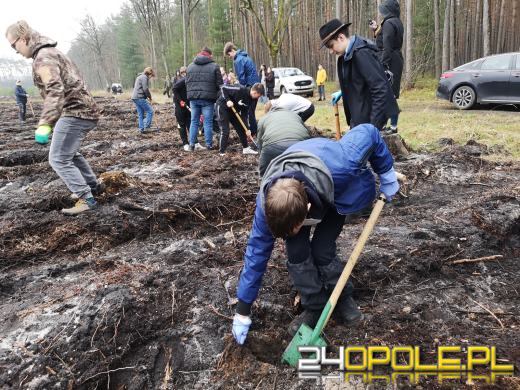 Młodzież posadzi kilka tysięcy drzew. Trwa akcja "Lasy Pełne Energii"