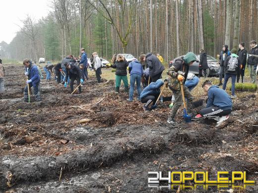 Młodzież posadzi kilka tysięcy drzew. Trwa akcja "Lasy Pełne Energii"