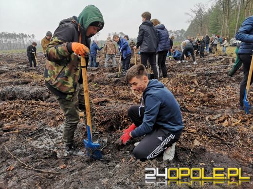 Młodzież posadzi kilka tysięcy drzew. Trwa akcja "Lasy Pełne Energii"
