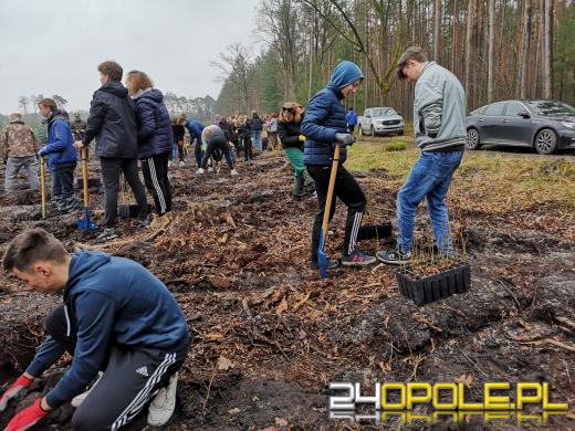 Młodzież posadzi kilka tysięcy drzew. Trwa akcja "Lasy Pełne Energii"