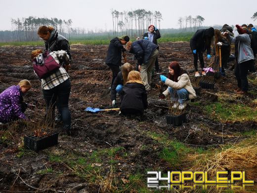 Młodzież posadzi kilka tysięcy drzew. Trwa akcja "Lasy Pełne Energii"