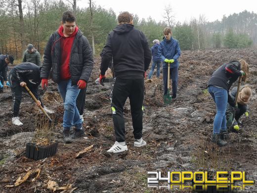 Młodzież posadzi kilka tysięcy drzew. Trwa akcja "Lasy Pełne Energii"