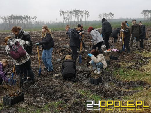 Młodzież posadzi kilka tysięcy drzew. Trwa akcja "Lasy Pełne Energii"