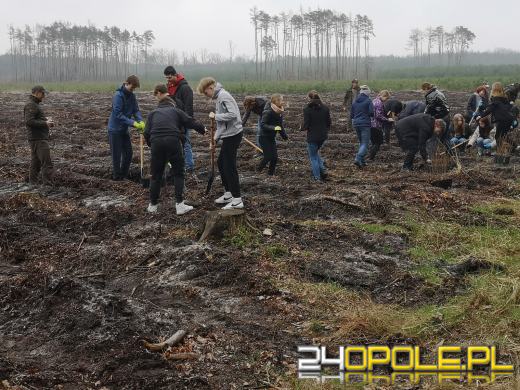 Młodzież posadzi kilka tysięcy drzew. Trwa akcja "Lasy Pełne Energii"