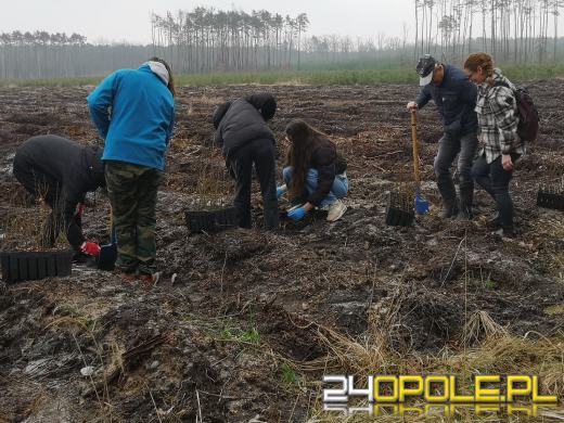 Młodzież posadzi kilka tysięcy drzew. Trwa akcja "Lasy Pełne Energii"