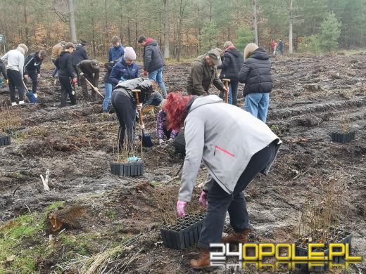 Młodzież posadzi kilka tysięcy drzew. Trwa akcja "Lasy Pełne Energii"