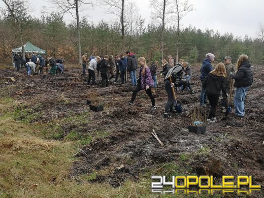 Młodzież posadzi kilka tysięcy drzew. Trwa akcja "Lasy Pełne Energii"