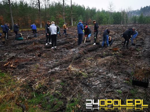 Młodzież posadzi kilka tysięcy drzew. Trwa akcja "Lasy Pełne Energii"