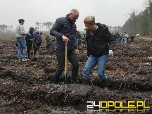 Młodzież posadzi kilka tysięcy drzew. Trwa akcja "Lasy Pełne Energii"